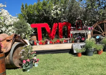 TVN - Televisión Nacional