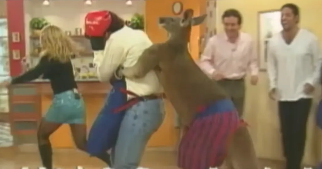 Rafael Araneda enfrentándose a un canguro