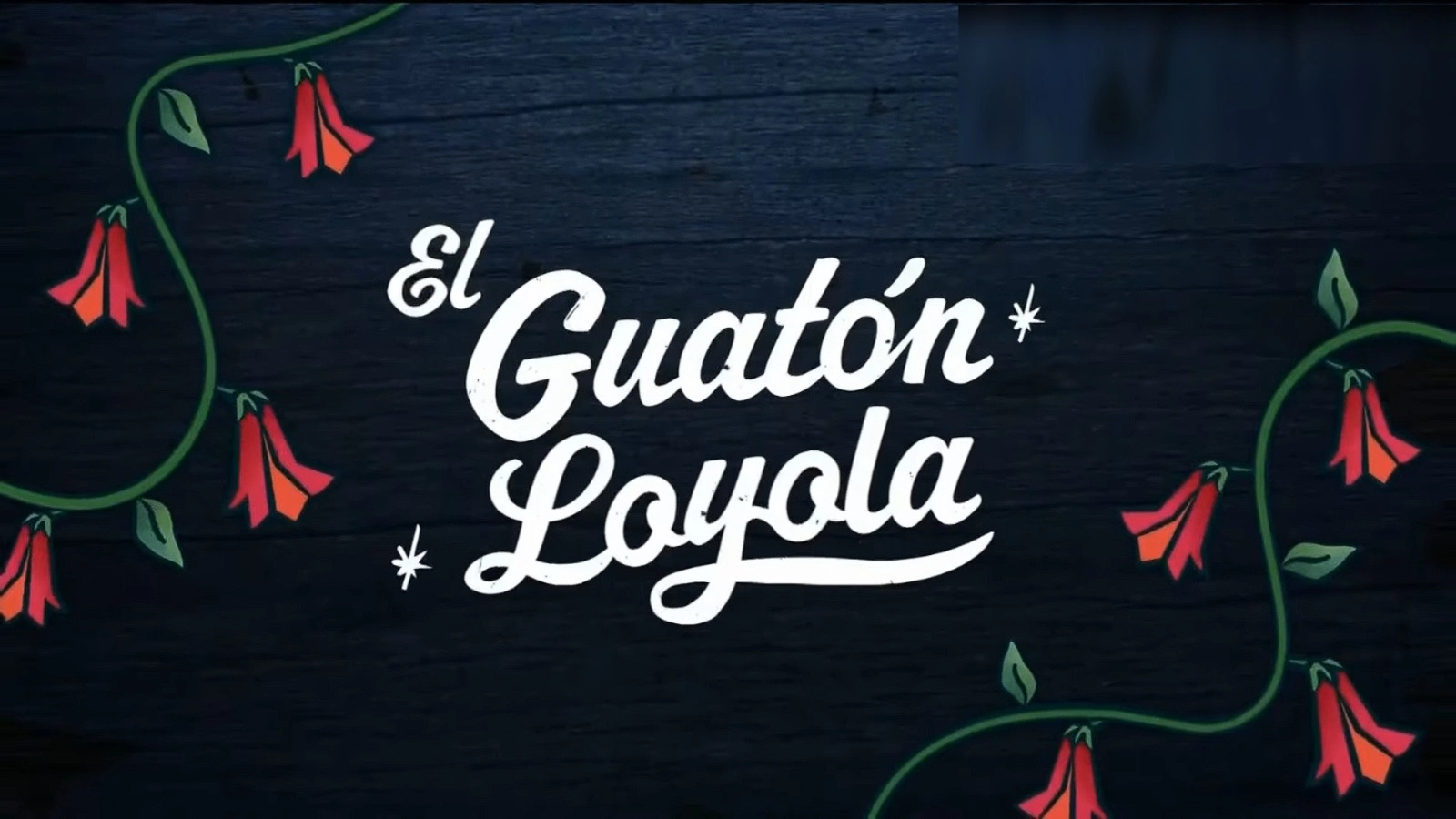 Festival el Guatón Loyola - Televisión